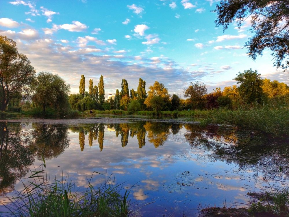 Photograph by Юлия Коробкова