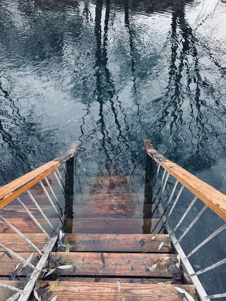 Photograph by Ксения Гулькова