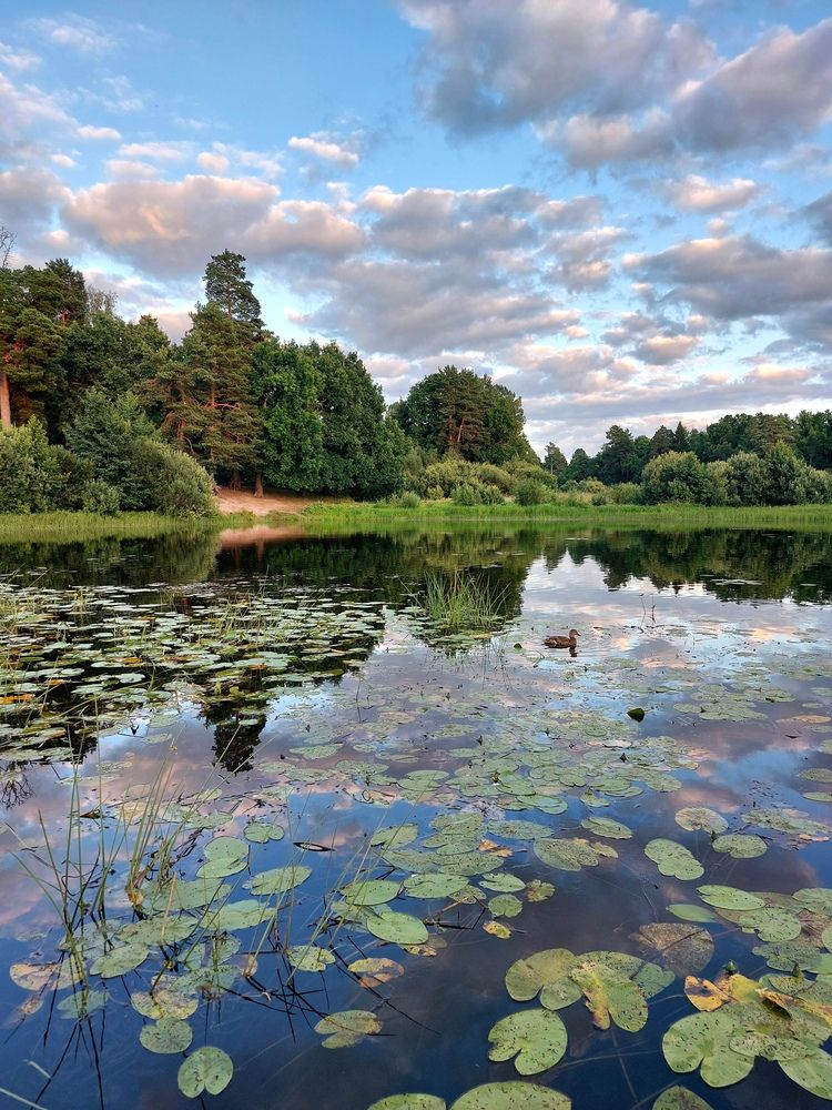 Photograph by Татьяна Емельянова