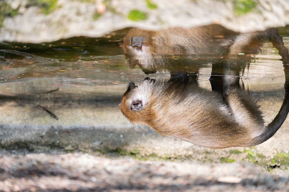 Фотография автора Raoul Rutnam