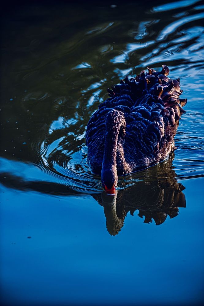 Photograph by Sarrah Yehia