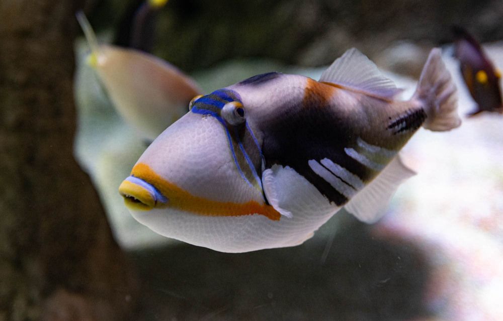 Photograph by Ineta Osipoviča