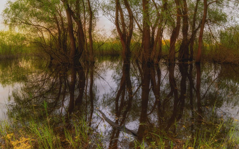 Photograph by Сергей Дишук