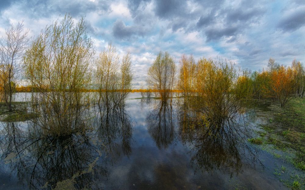 Photograph by Сергей Дишук