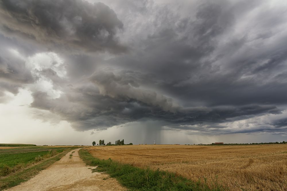 Photograph by Zoltan Gelencser