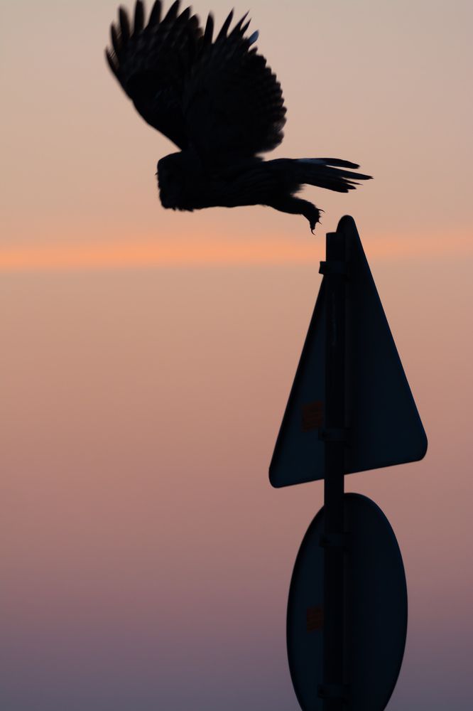 Photograph by Олег Бережных