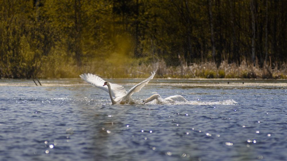 Photograph by Олег Бережных