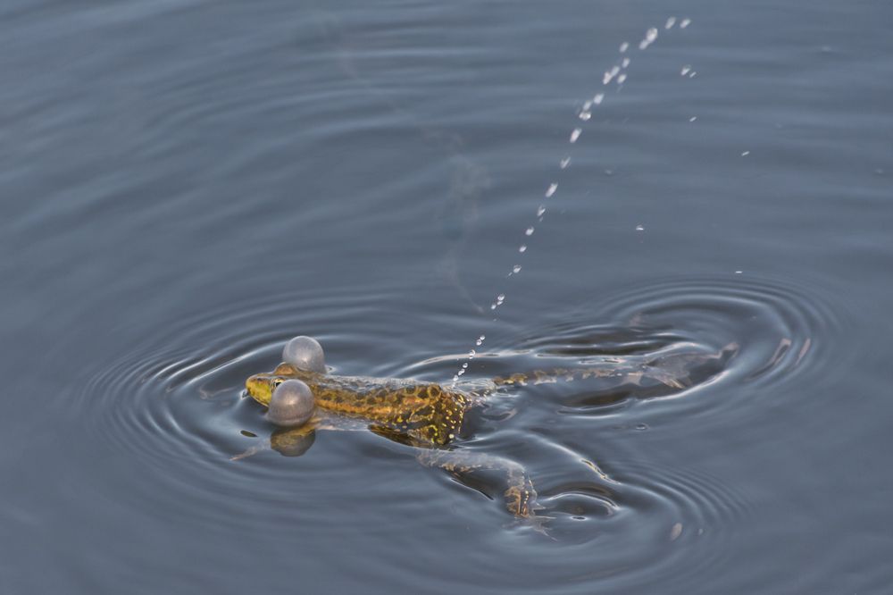 Photograph by Олег Бережных