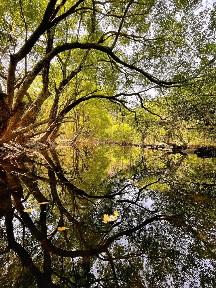 Photograph by Amit Solanki