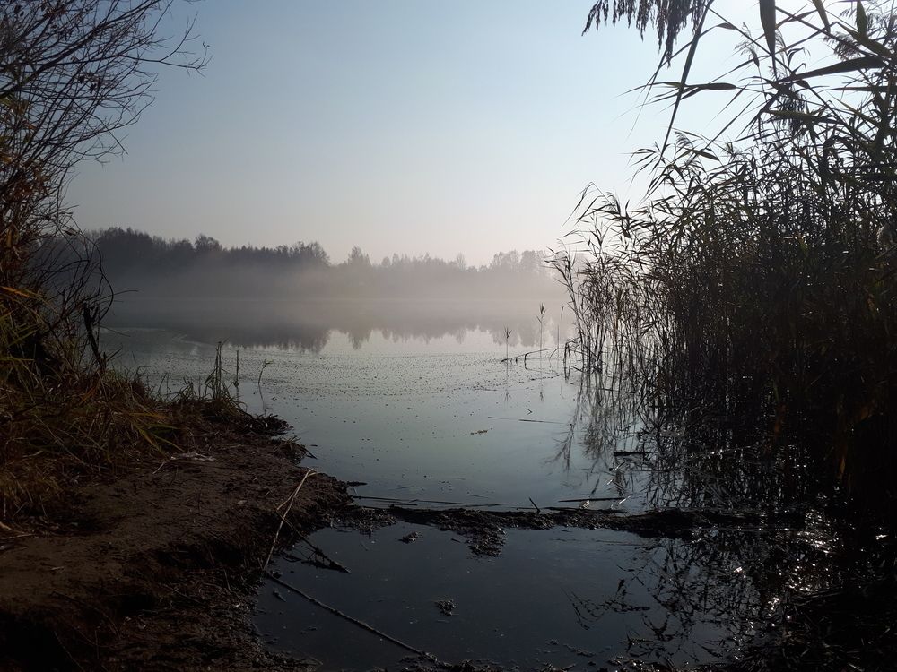 Photograph by София Лысова