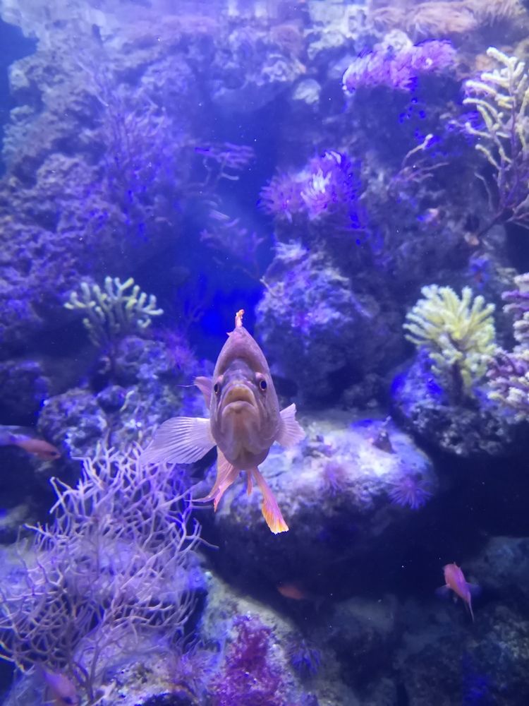 Photograph by София Лысова