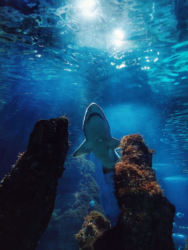 Photograph by София Лысова