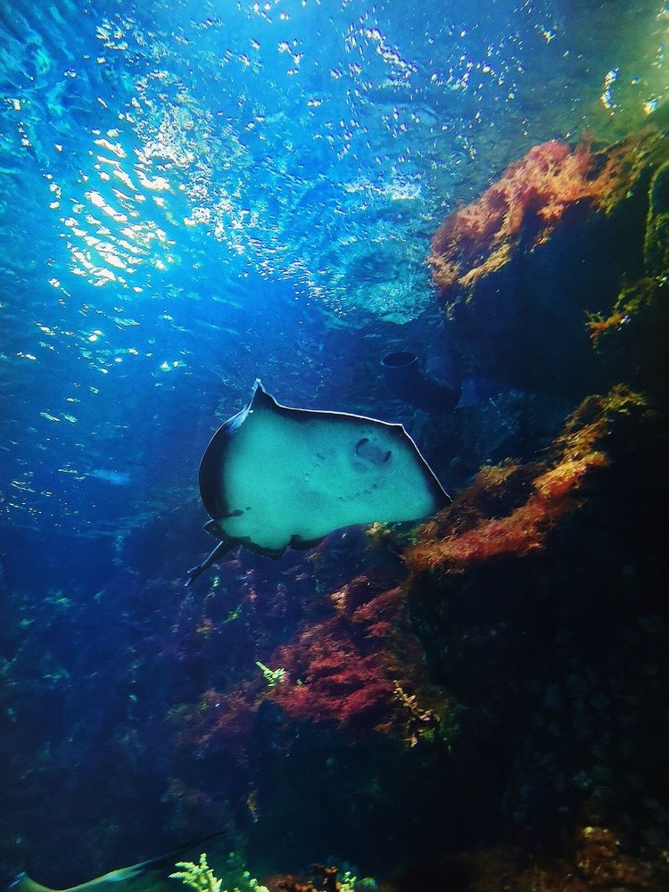 Photograph by София Лысова