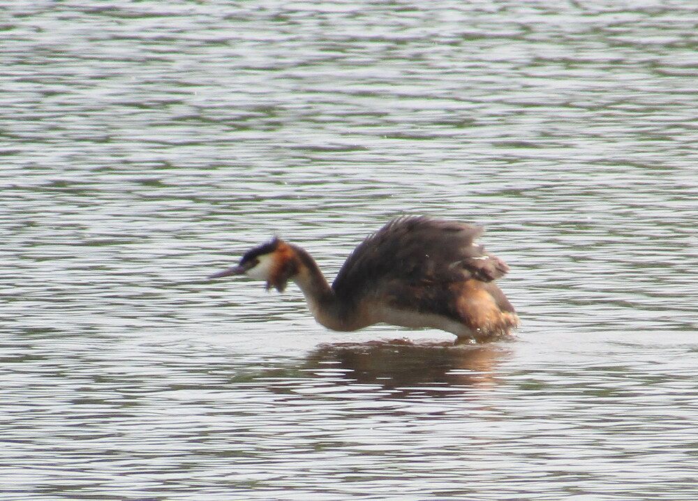 Photograph by Татьяна Смирнова