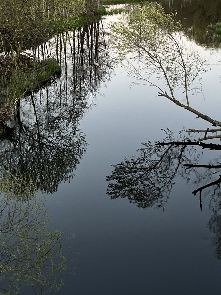 Photograph by Елена Зенкевич