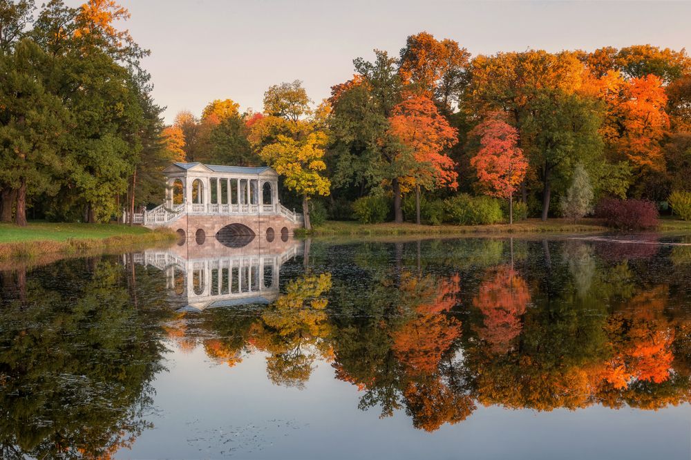 Photograph by Дмитренко Екатерина