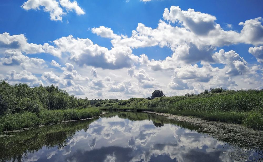 Photograph by Сергей Федоров