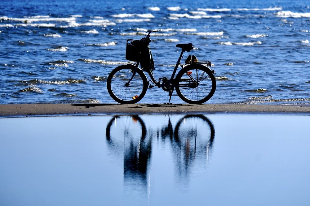 Фотография автора VIZO