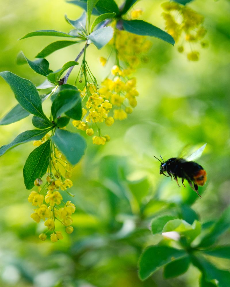 Photograph by FILIP BETKO