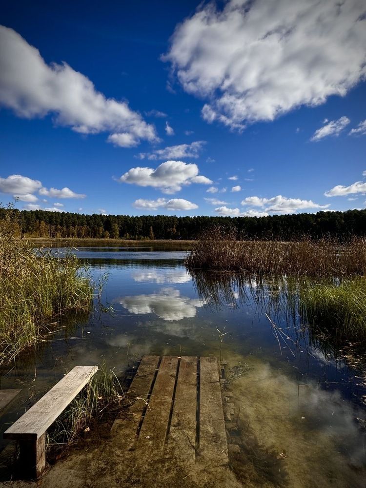 Photograph by Groznetskaya