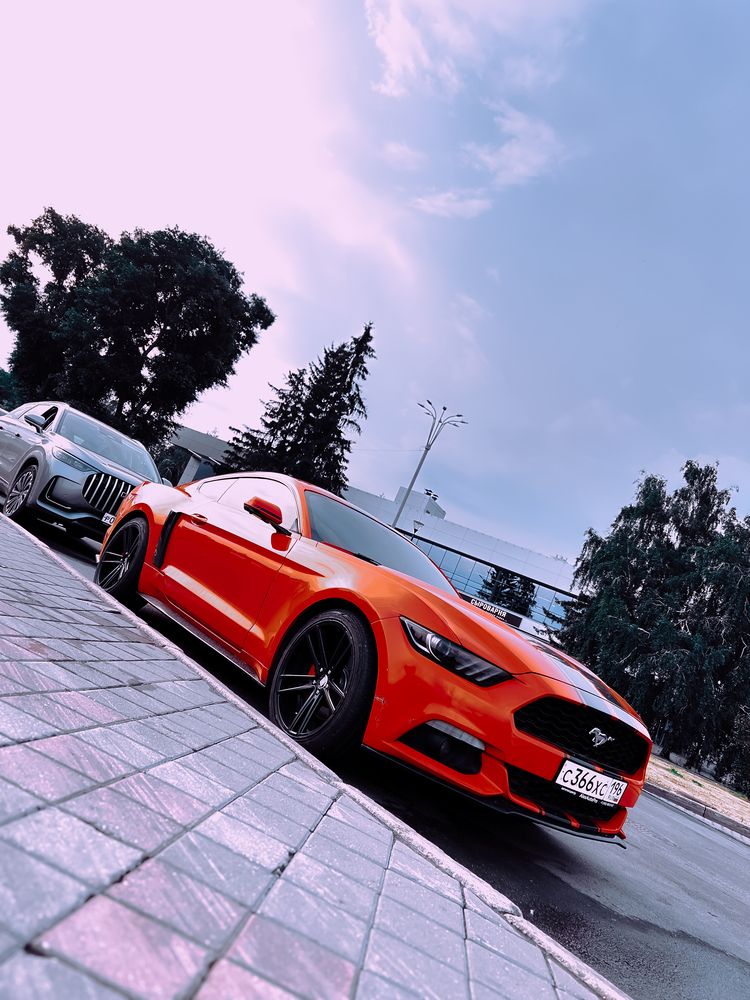 Photograph by Константин Шипицын