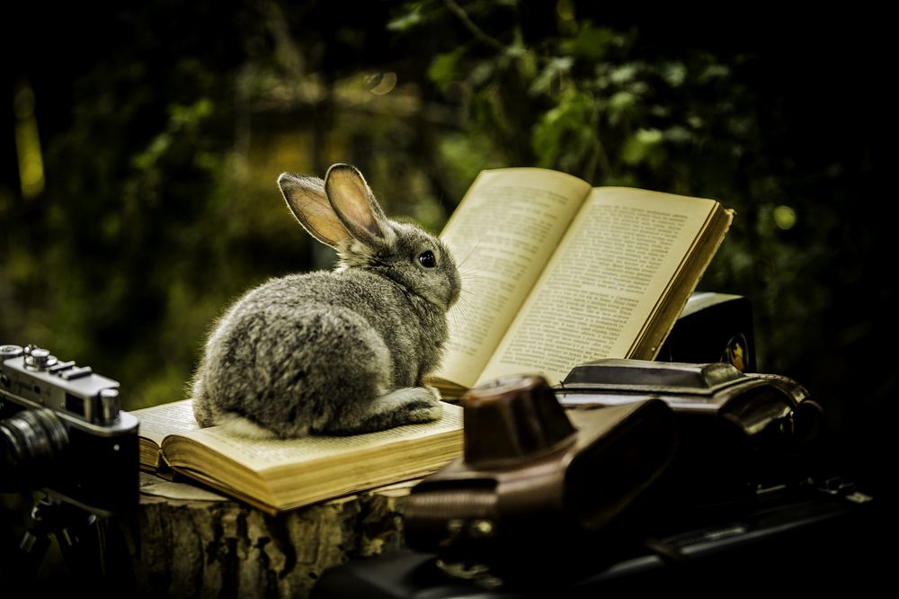 Фотография автора Михаил Лупина