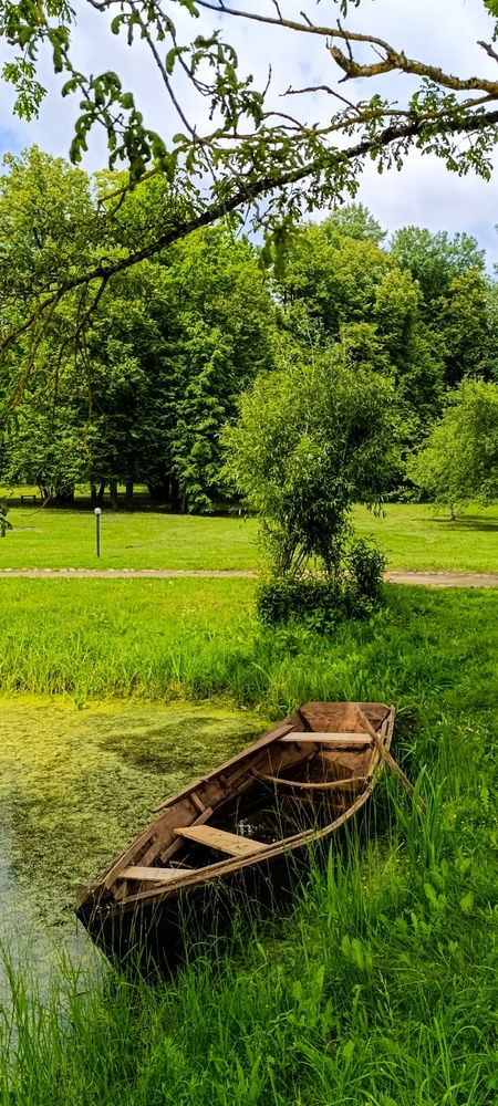 Photograph by Александра Свирская
