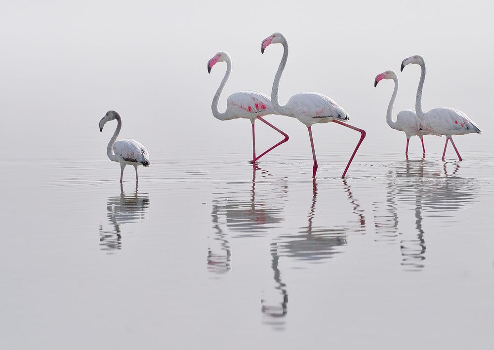 Photograph by Boris Bekelman