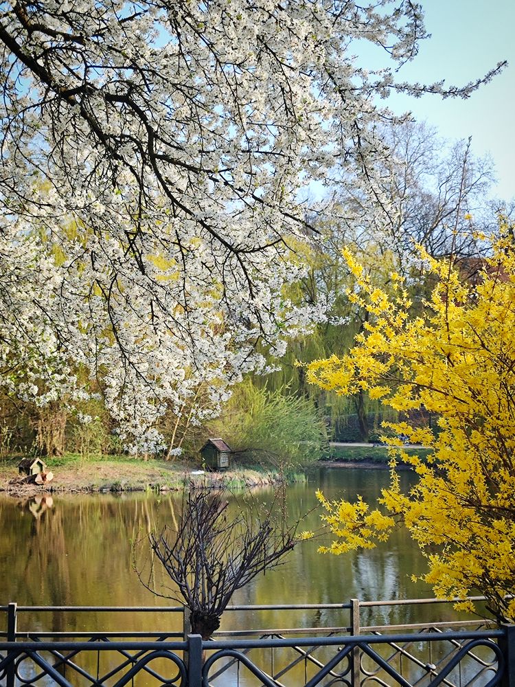 Photograph by Дарья