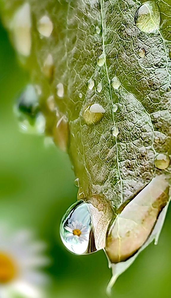 Photograph by Alen Brkić