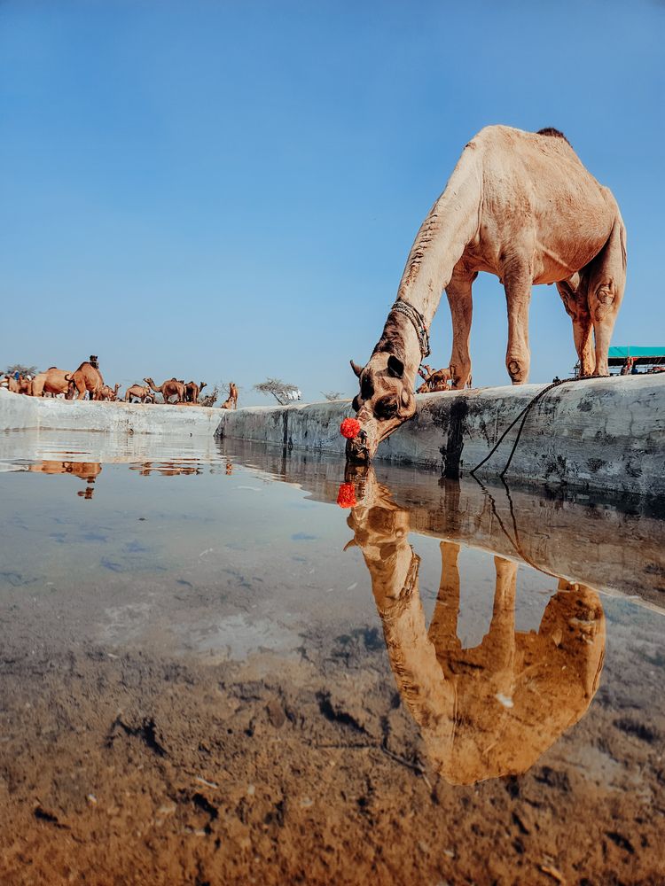 Photograph by prashant bamnawat