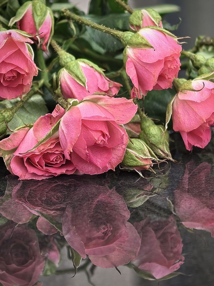 Photograph by Оксана Абакумова