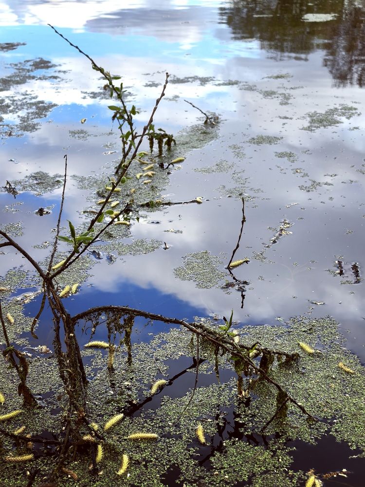 Photograph by Оксана Абакумова