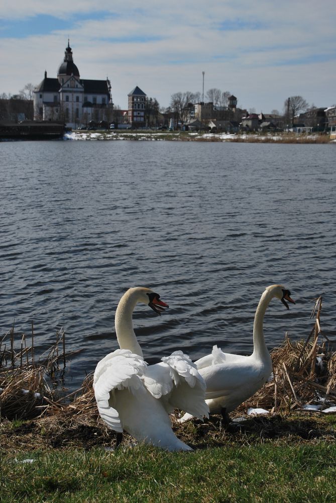 Photograph by Андрей Старовойтов