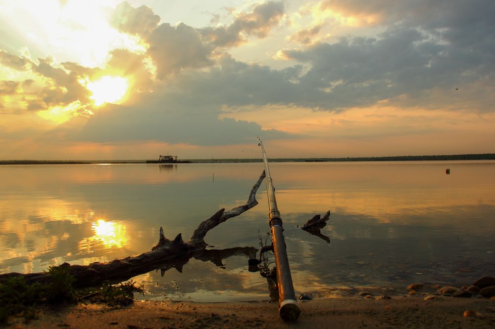 Photograph by Алексей Шевцов