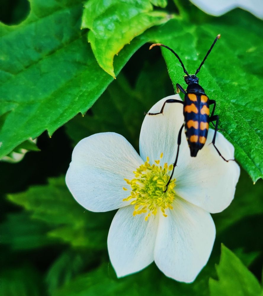 Photograph by Olena Chertous