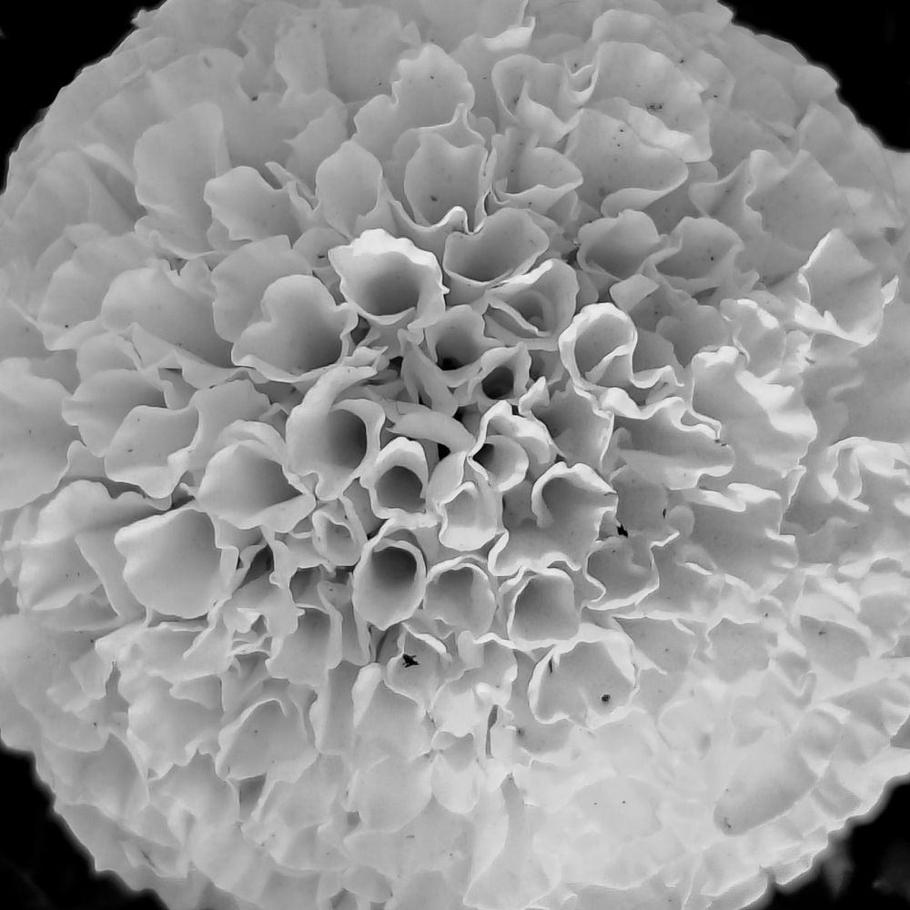 Photograph by Grădinaru Catalin