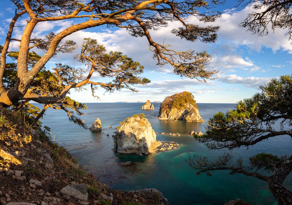 Photograph by Татьяна Тамошинская