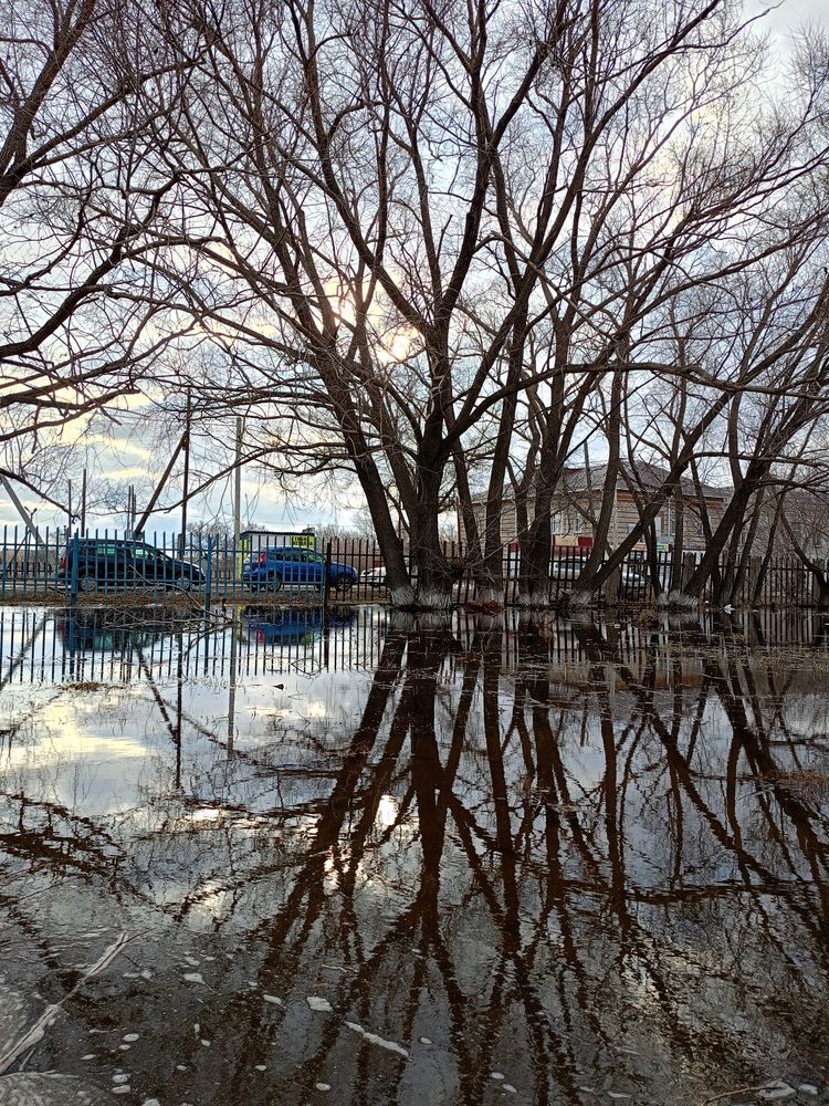 Photograph by Елена Чернякова