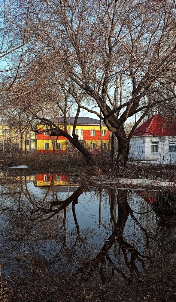 Photograph by Елена Чернякова