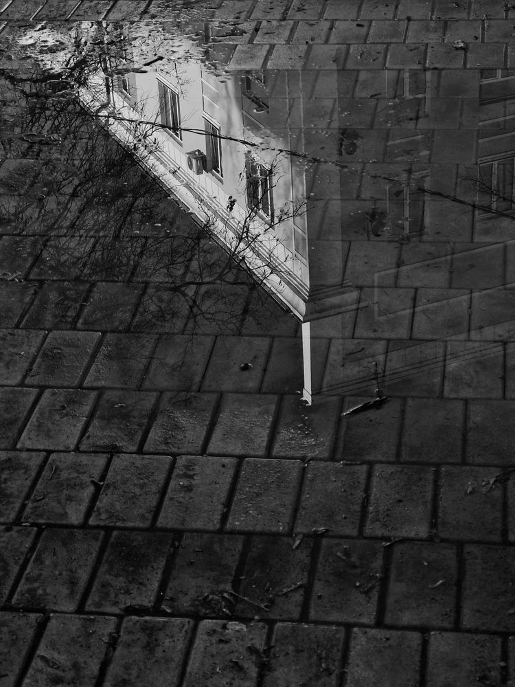 Photograph by Наталья Захарова