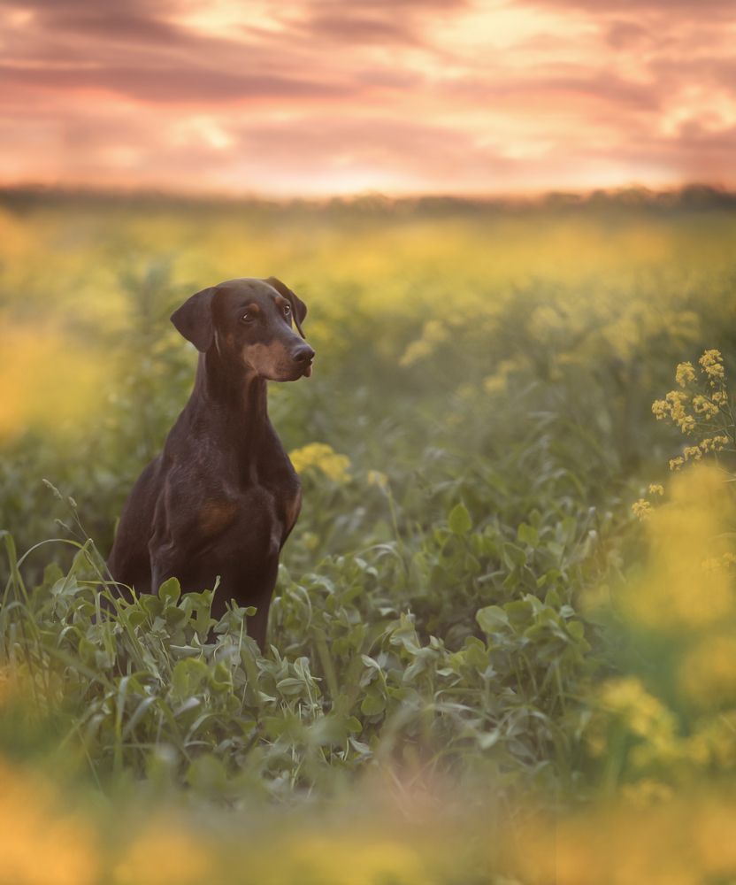 Photograph by Мария Клещенко