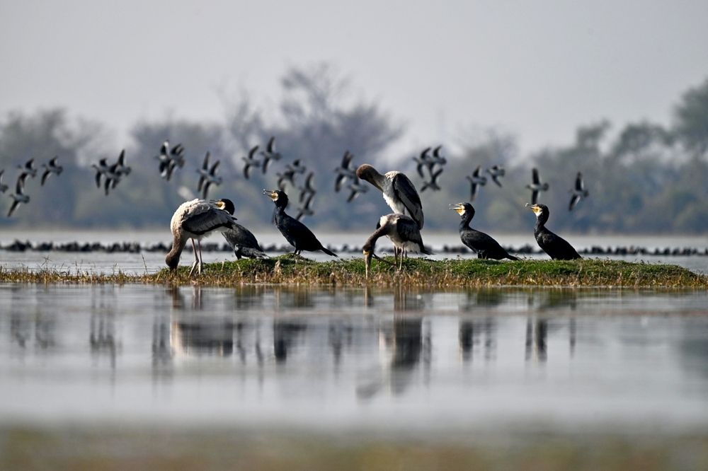 Photograph by Olga Ольга Joshi Джоши