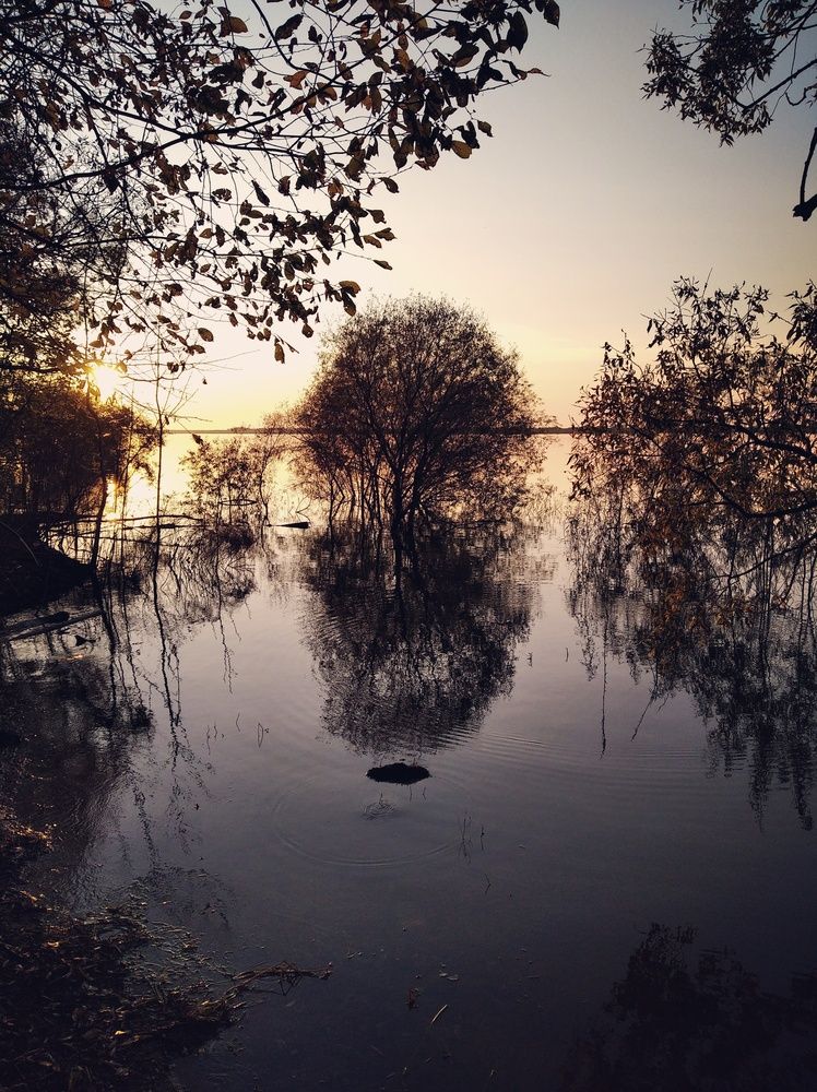 Photograph by Алексей
