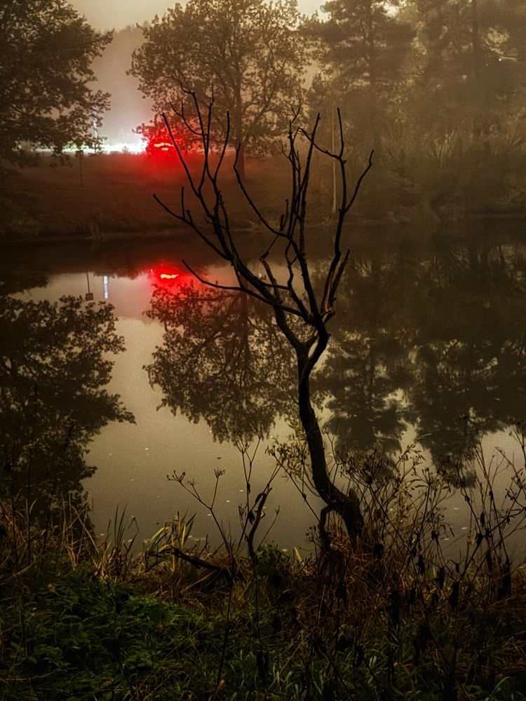 Photograph by Ринат Абдуллин