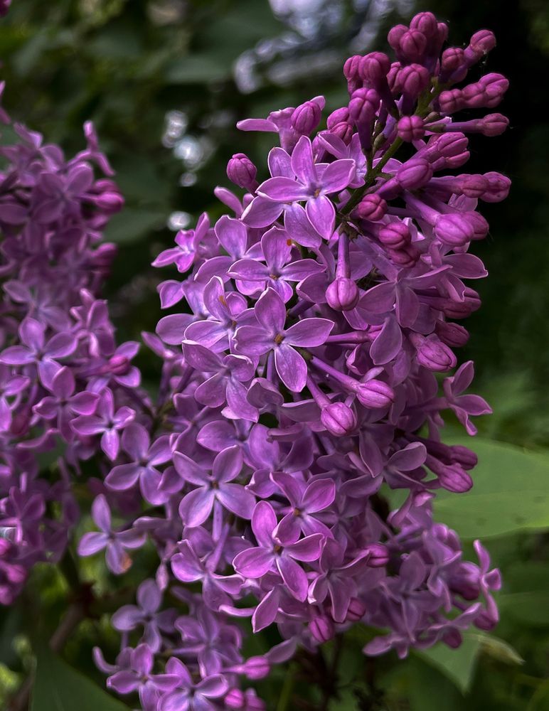 Photograph by Катерина Кирикова