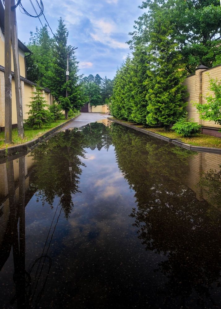 Photograph by Алексей Горин