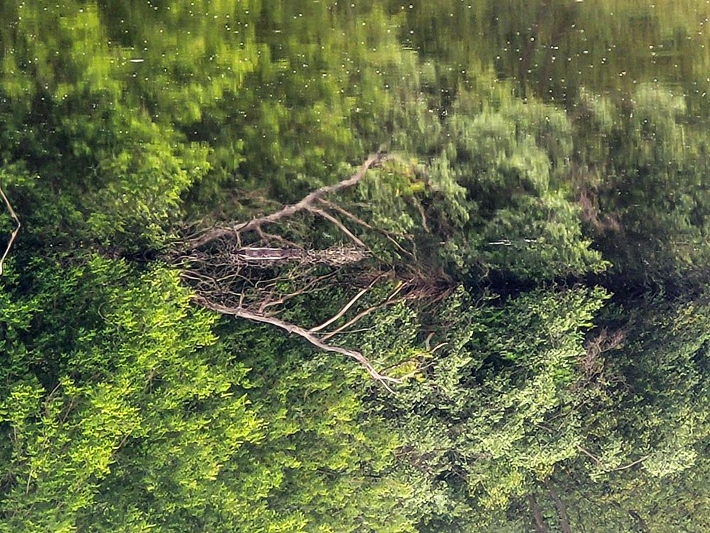 Photograph by Алексей Горин