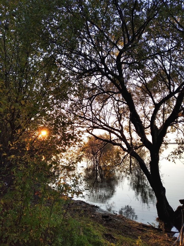 Photograph by Алексей