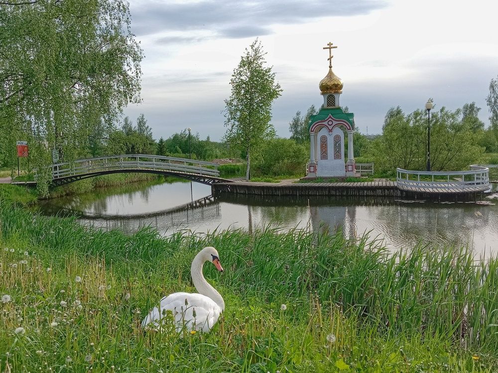 Photograph by Ирина Ермакович